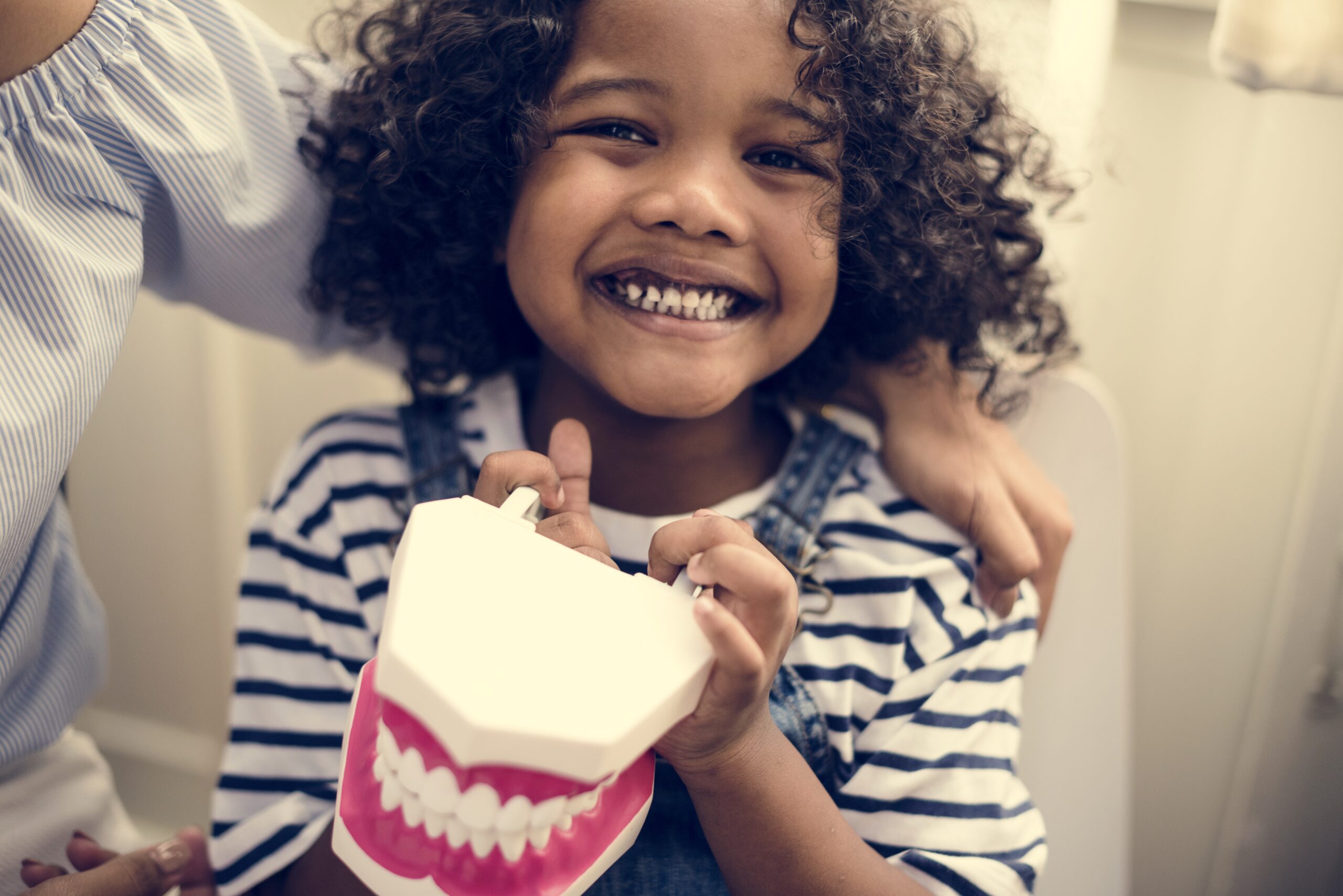 Cheerful young kid holding a dental model