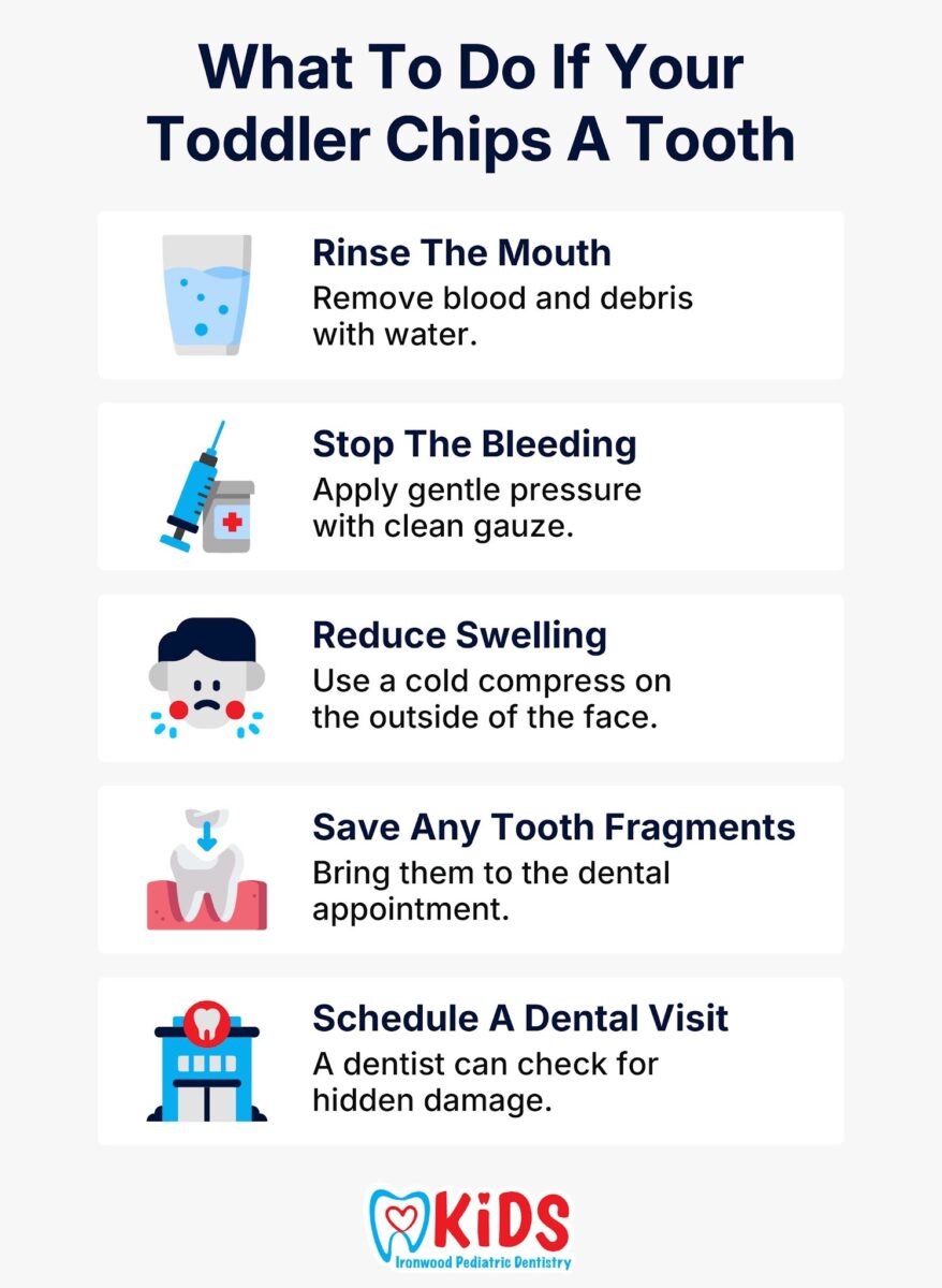 What to do if Your Child Chips a Tooth
