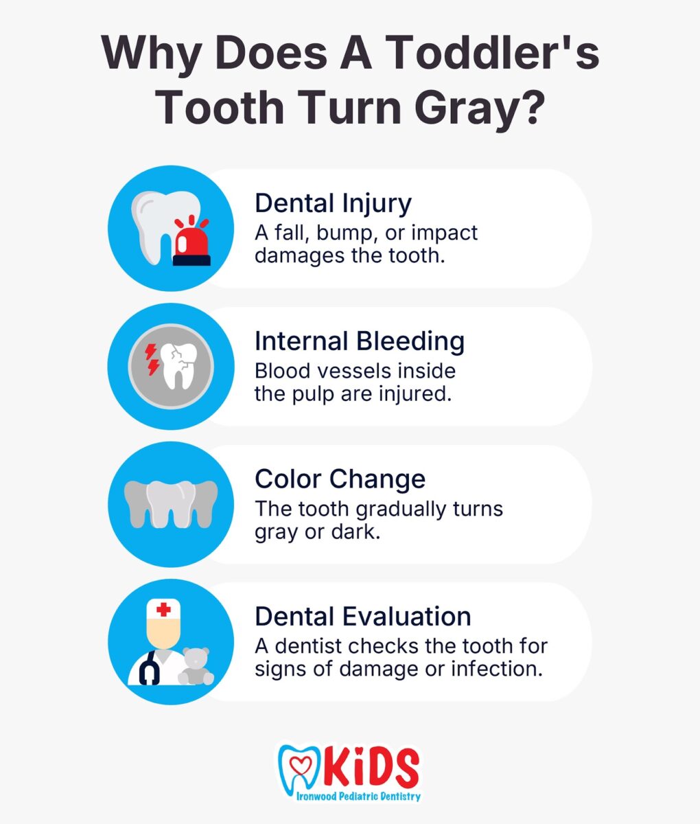 Why Does a Toddler's Tooth Turn Gray?